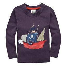 童t恤 工廠直銷童裝批發 歐美品牌兒童純棉長袖t恤精品 童裝t恤 ,兒童t恤, 外貿童裝圖片,童t恤 工廠直銷童裝批發 歐美品牌兒童純棉長袖t恤精品 童裝t恤 ,兒童t